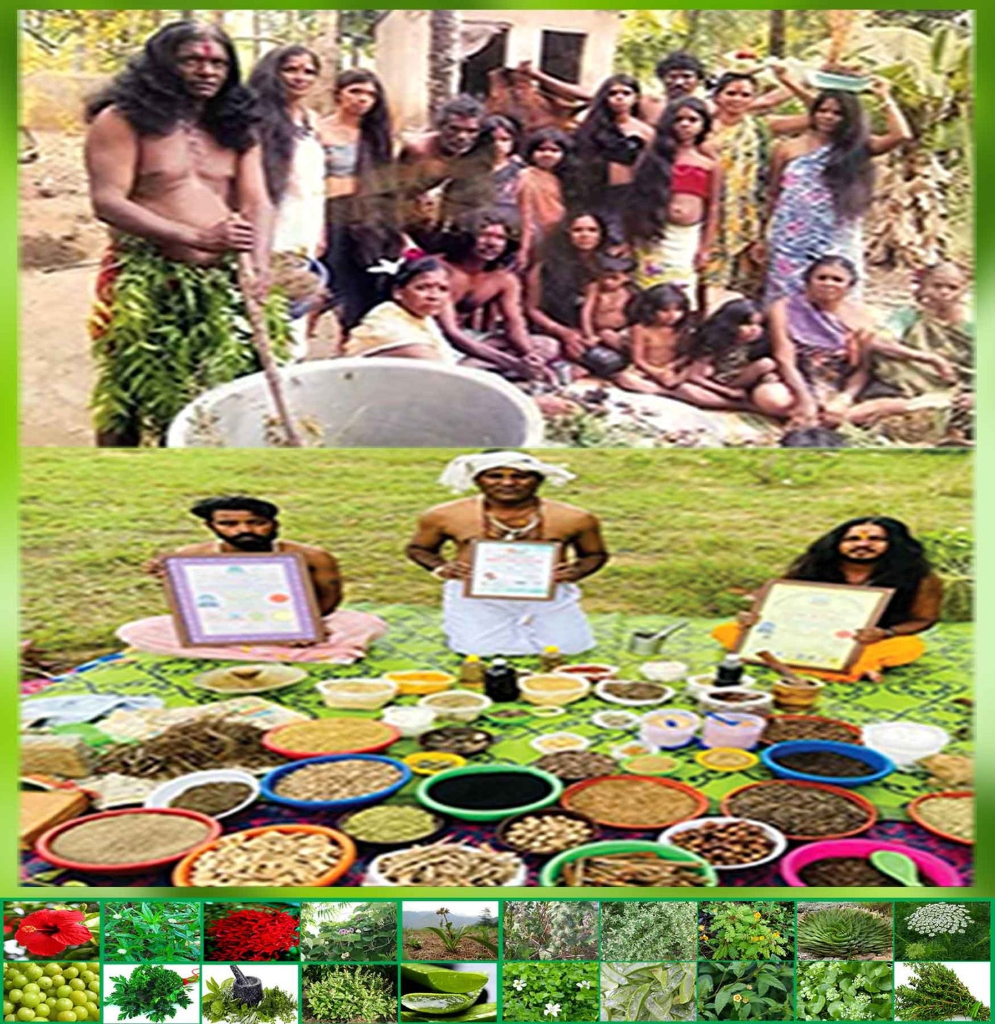 Hakki Pikki Neelambari Adivasi